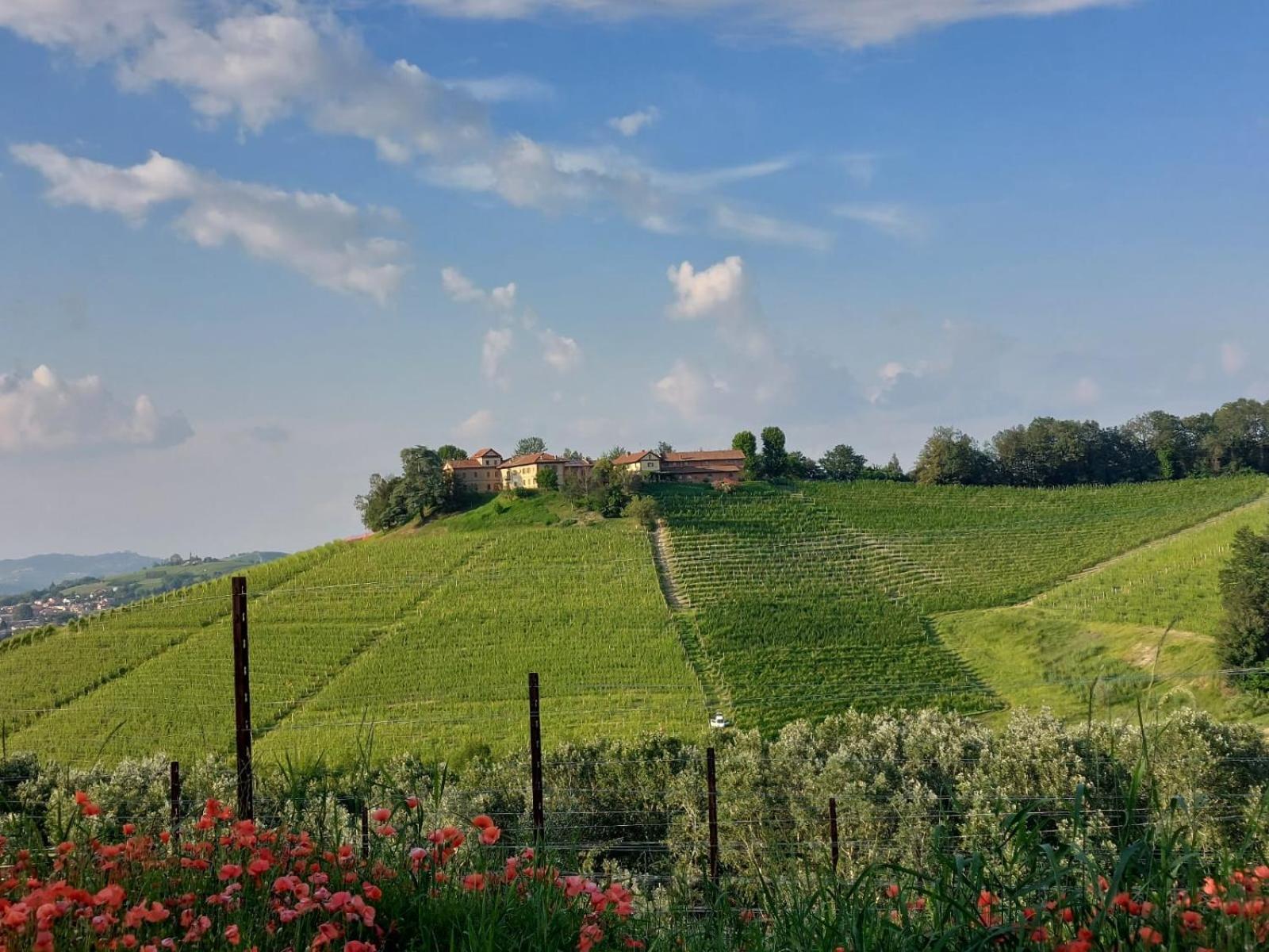Tenuta Montanello B&B Castiglione Falletto Ngoại thất bức ảnh