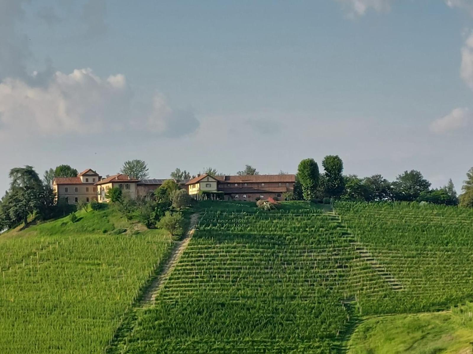 Tenuta Montanello B&B Castiglione Falletto Ngoại thất bức ảnh