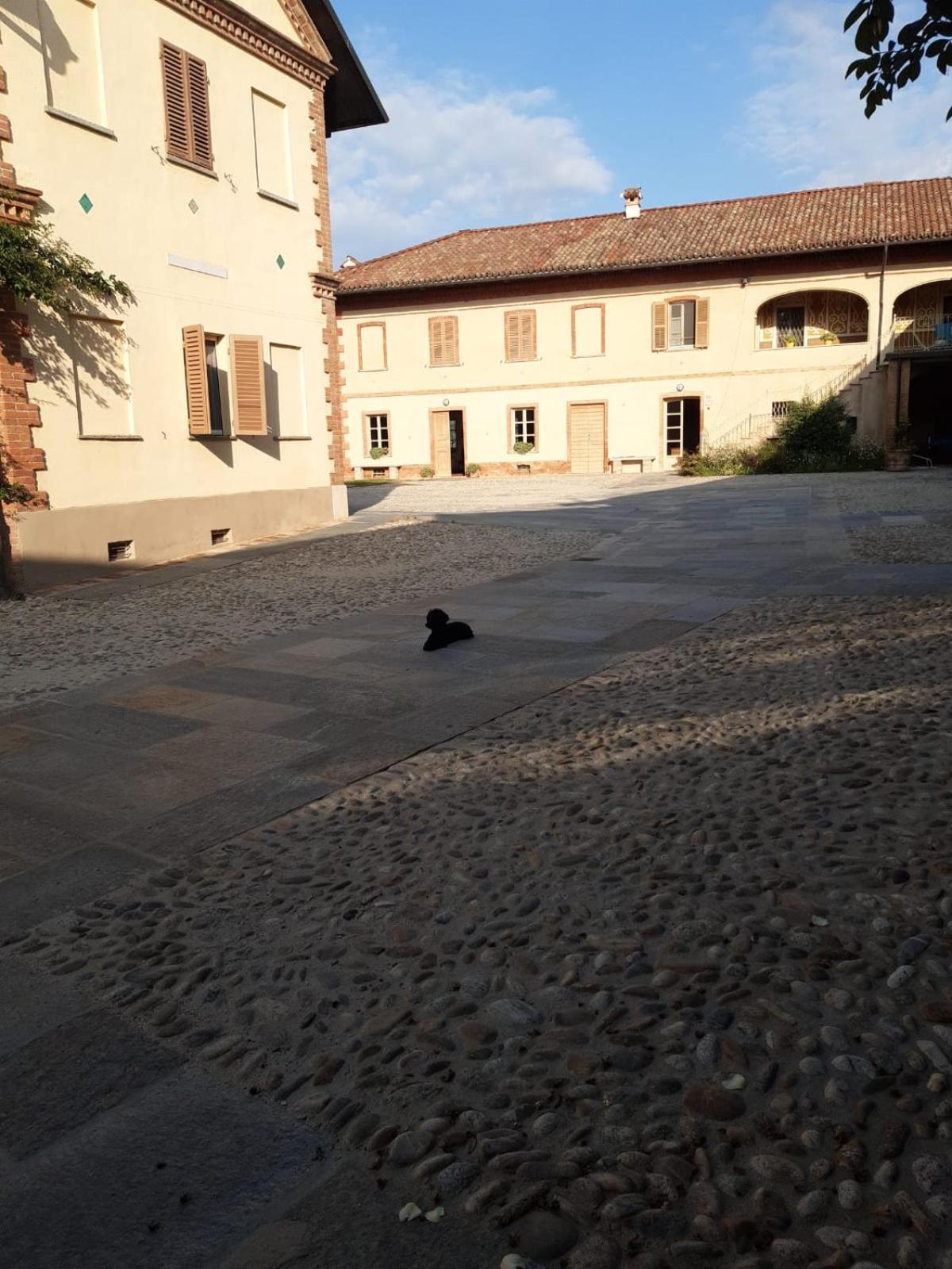 Tenuta Montanello B&B Castiglione Falletto Ngoại thất bức ảnh