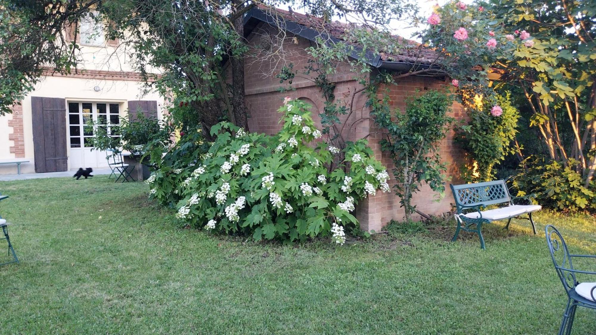 Tenuta Montanello B&B Castiglione Falletto Ngoại thất bức ảnh