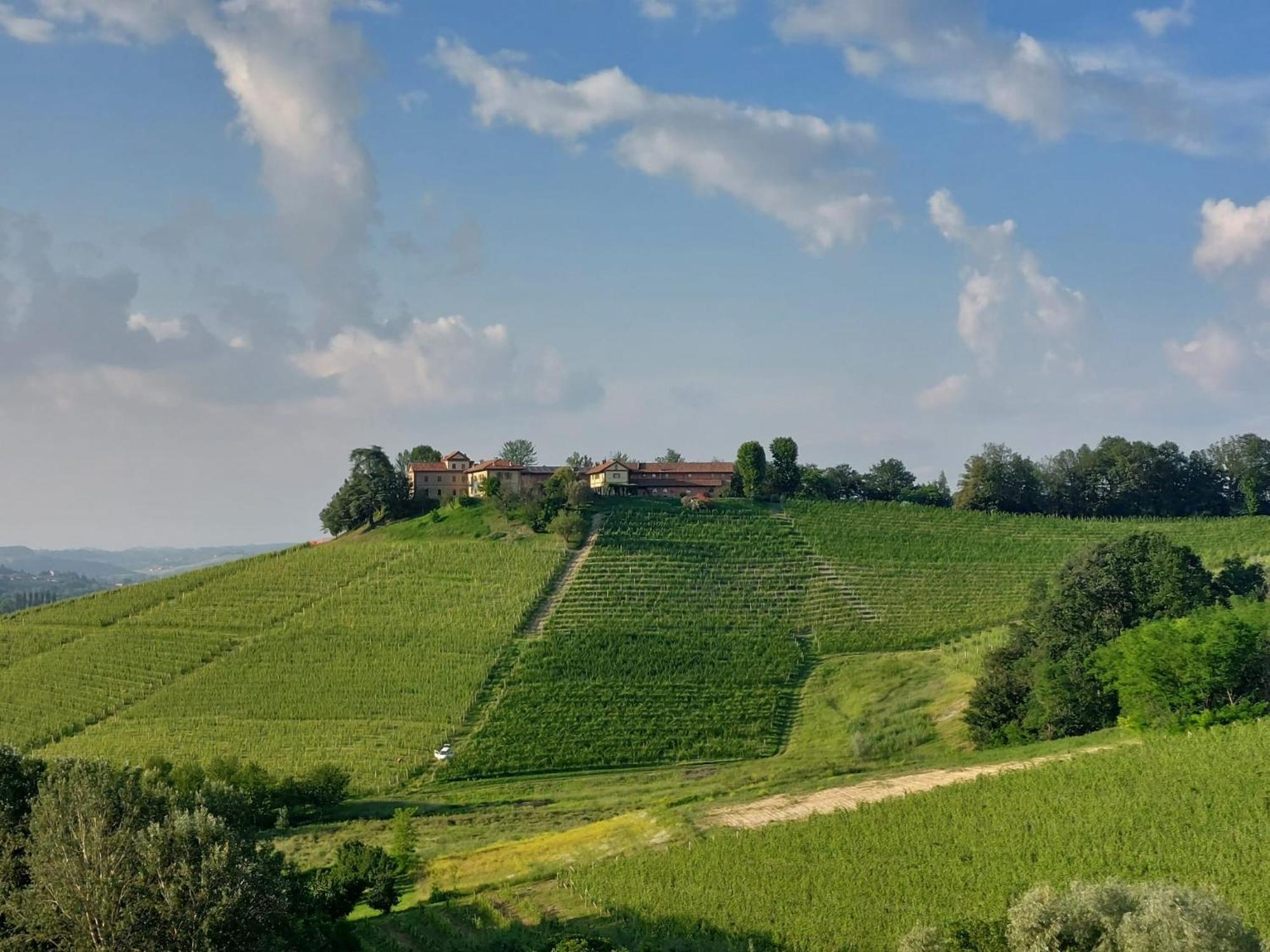 Tenuta Montanello B&B Castiglione Falletto Ngoại thất bức ảnh