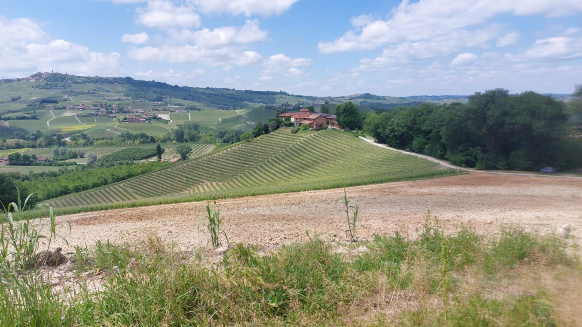 Tenuta Montanello B&B Castiglione Falletto Ngoại thất bức ảnh