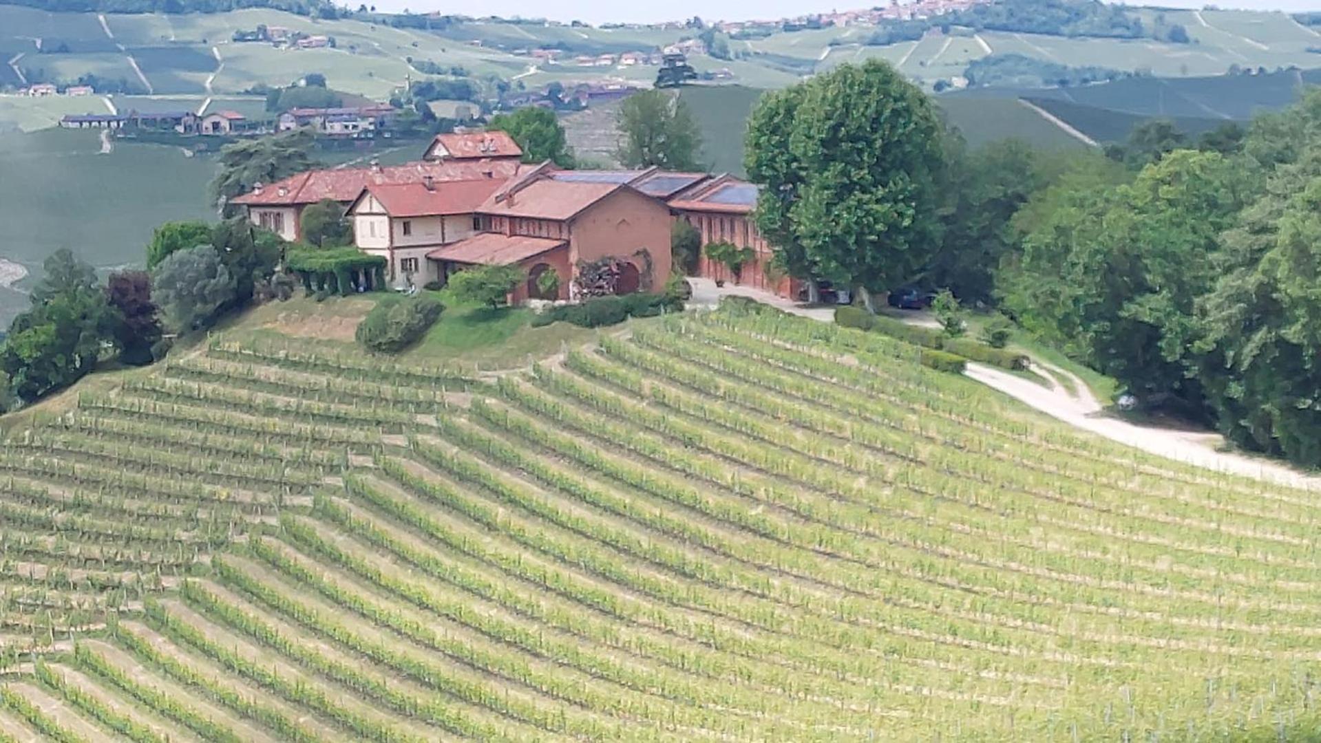 Tenuta Montanello B&B Castiglione Falletto Ngoại thất bức ảnh