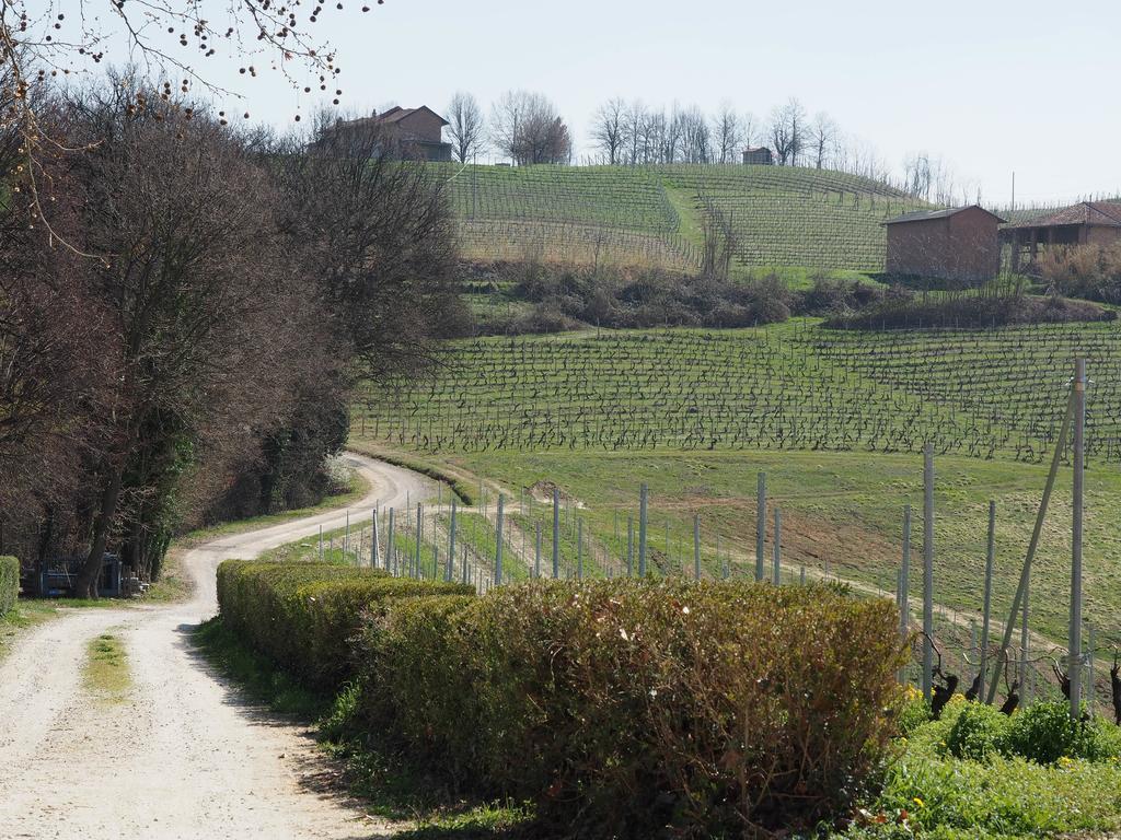 Tenuta Montanello B&B Castiglione Falletto Ngoại thất bức ảnh